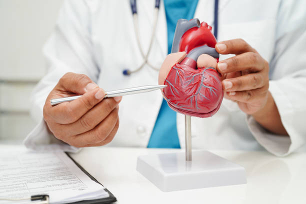 Choosing the Best Cardiologist in Amritsar: Credentials & Success Rates